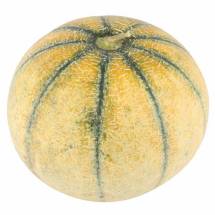 Musk Melon